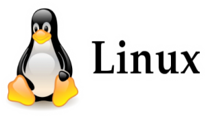 system Linux, administracja serwerami, Linux, administrator serwerów Linux, usługi informatyczne